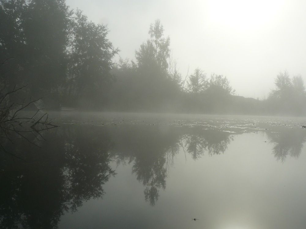 Photograph by Ирина Сергейчук