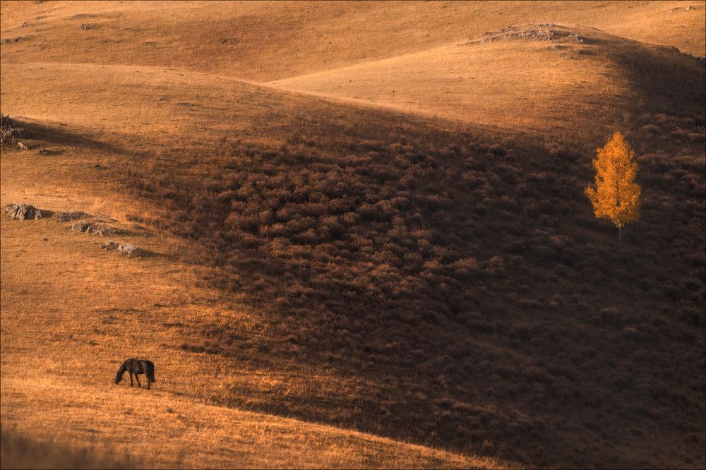 Photograph by Влад Соколовский