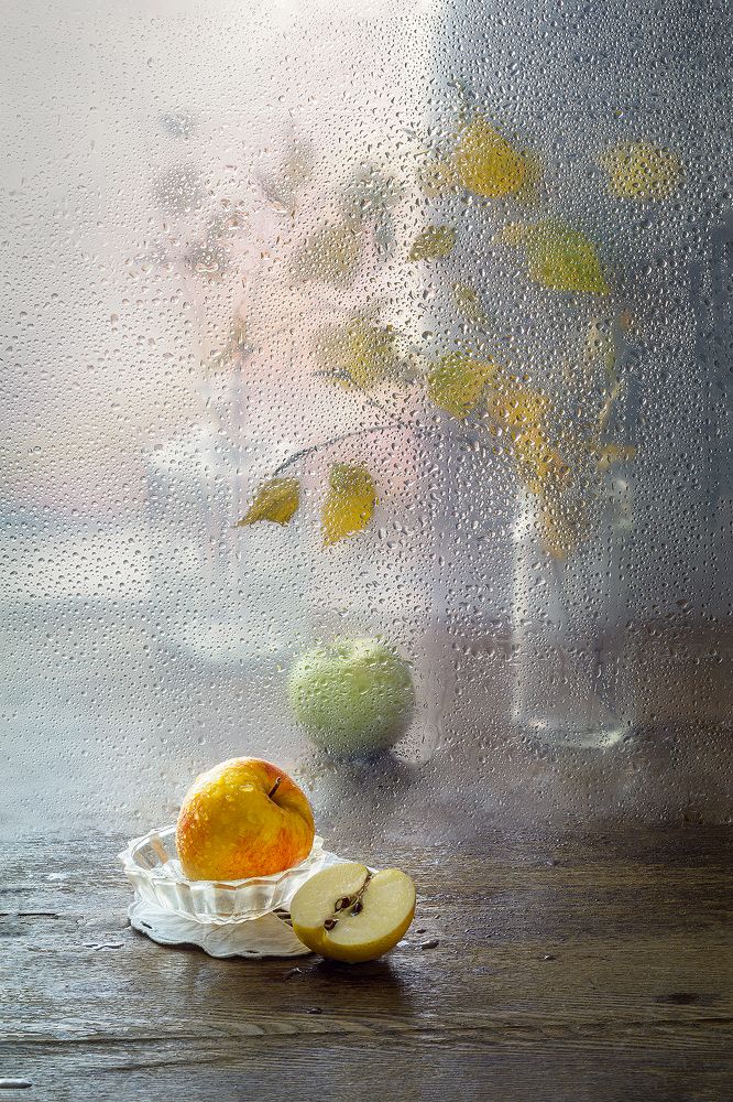 Photograph by Баг Алексей