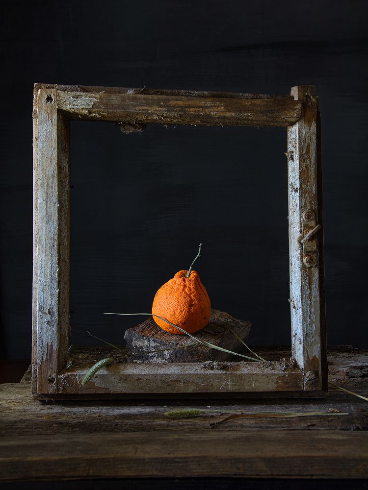 Photograph by Баг Алексей