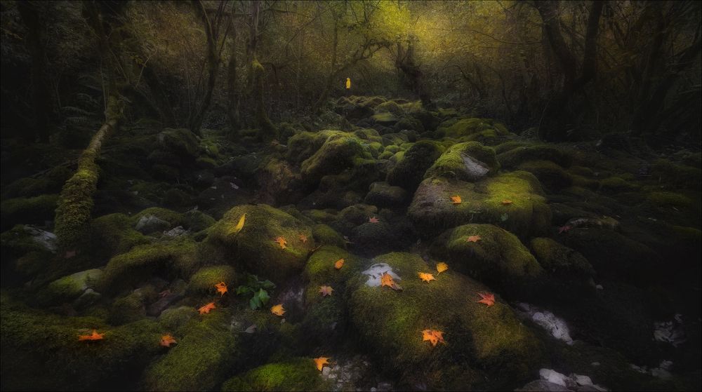 Photograph by Влад Соколовский