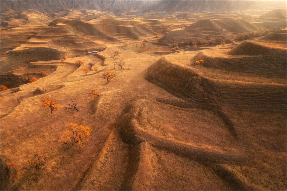 Photograph by Влад Соколовский