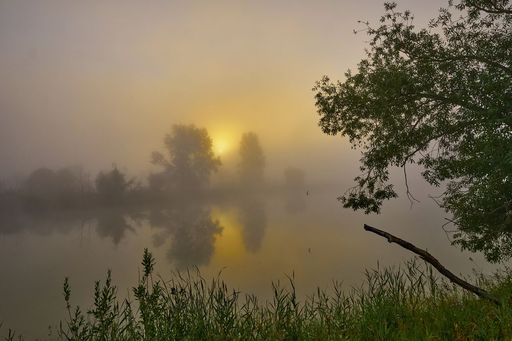 Фотография автора Игорь Игоревич