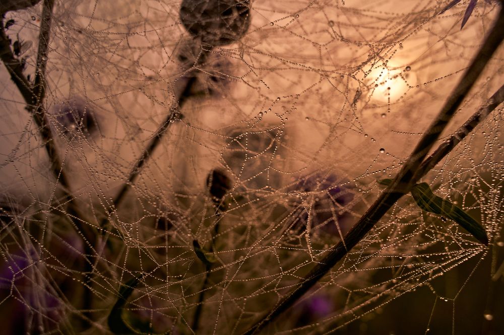 Фотография автора Игорь Игоревич