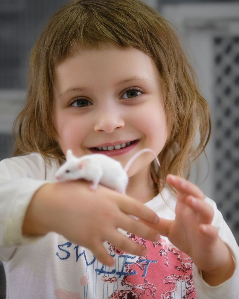 Photograph by Татьяна Рымар