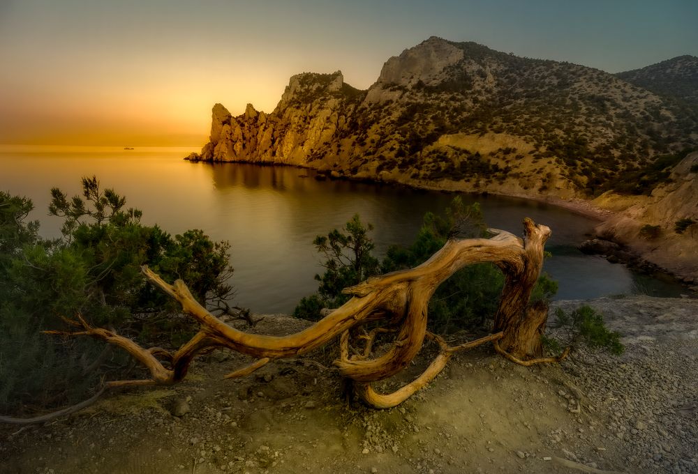 Photograph by Александр Разумов