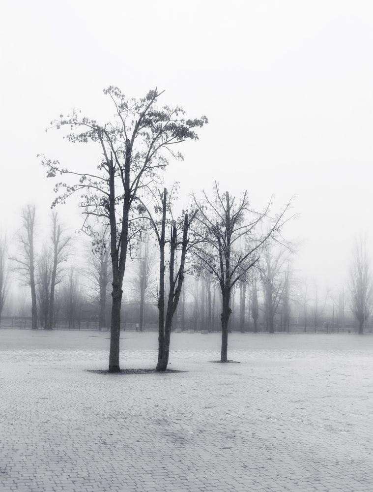 Фотография автора Татьяна Гончарова