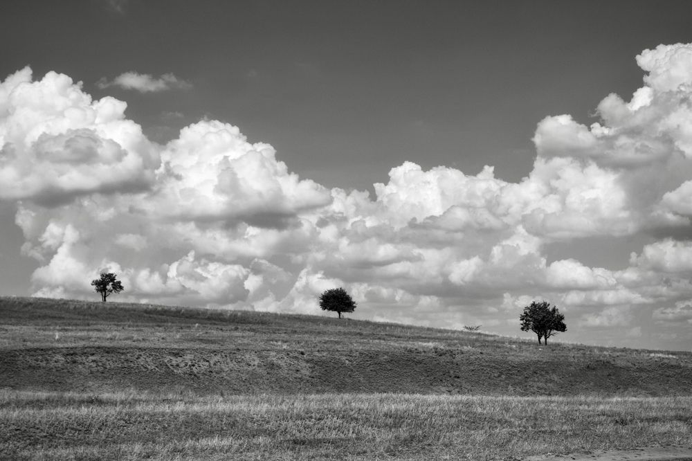 Фотография автора Татьяна Гончарова