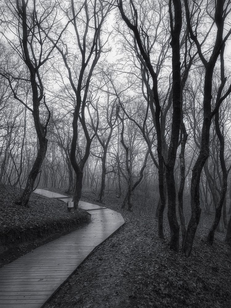 Фотография автора Татьяна Гончарова