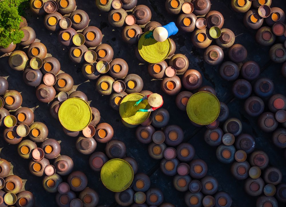 Photograph by Sunshine Le