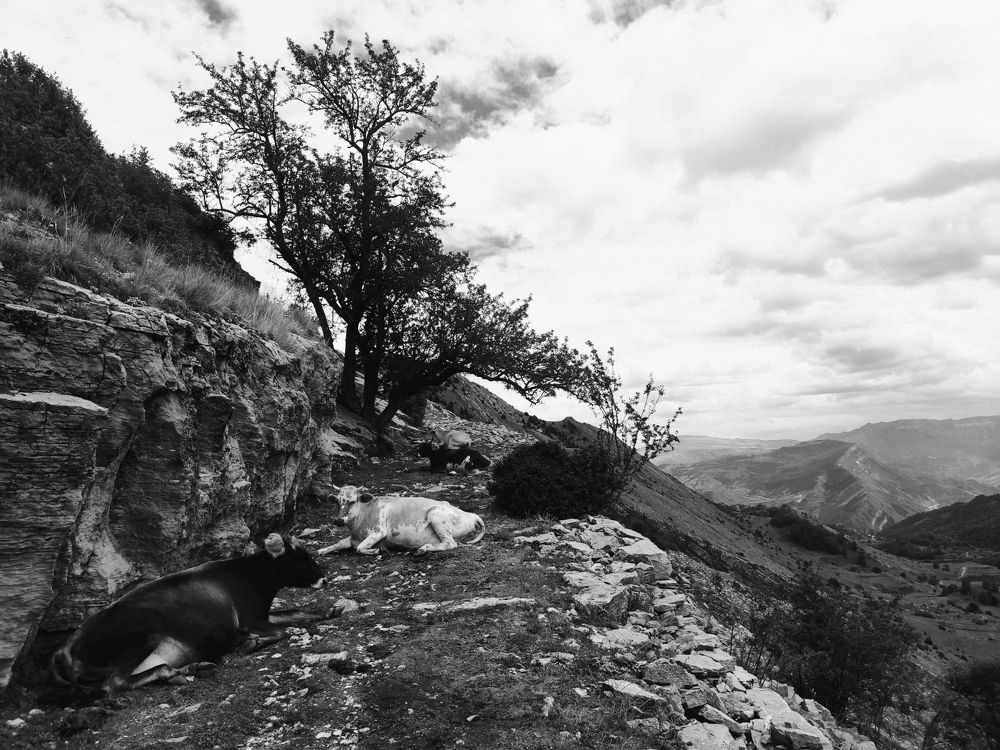 Photograph by Marina Volnova