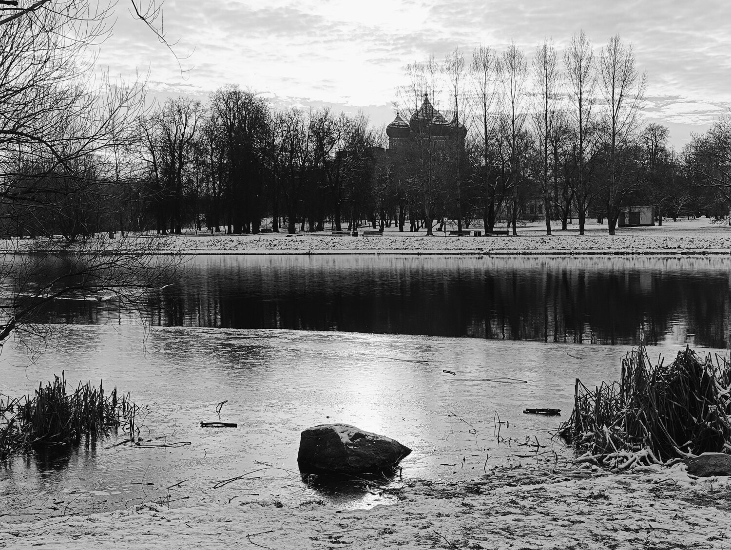 Photo #11523732