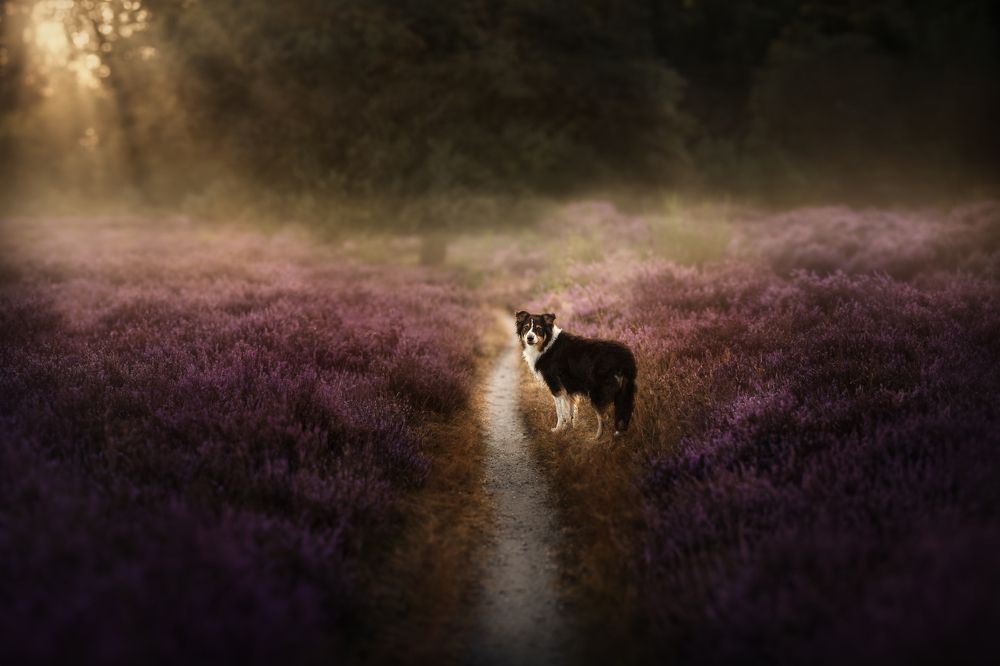 Photograph by Fleur Scholte