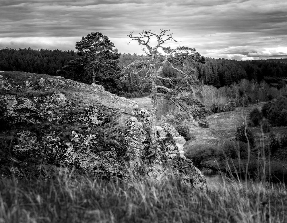 Фотография автора Михаил Бове