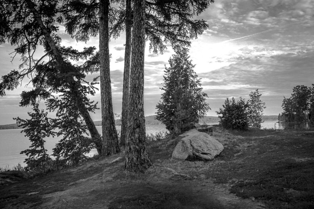 Фотография автора Михаил Бове