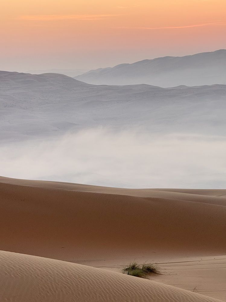 Photograph by Елизавета