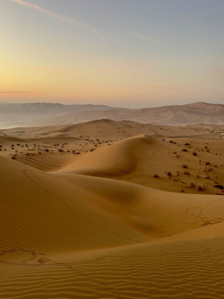 Photograph by Елизавета