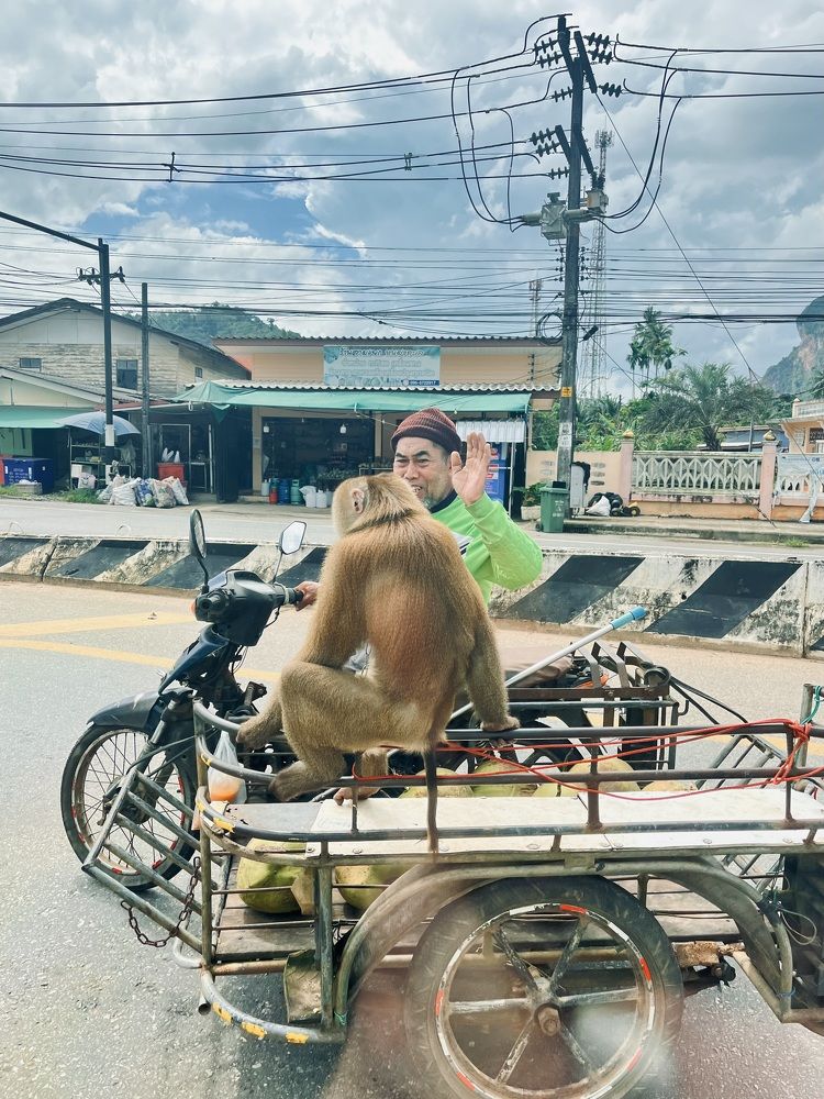 Photograph by Ольга Белоусова