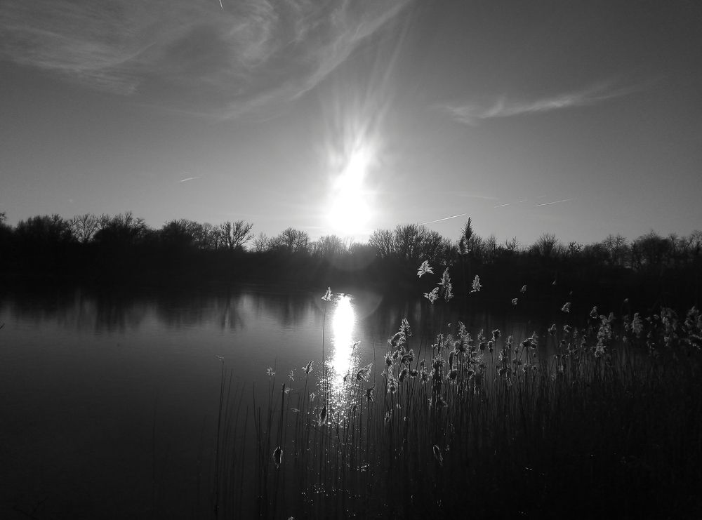 Photograph by Александр Казачек