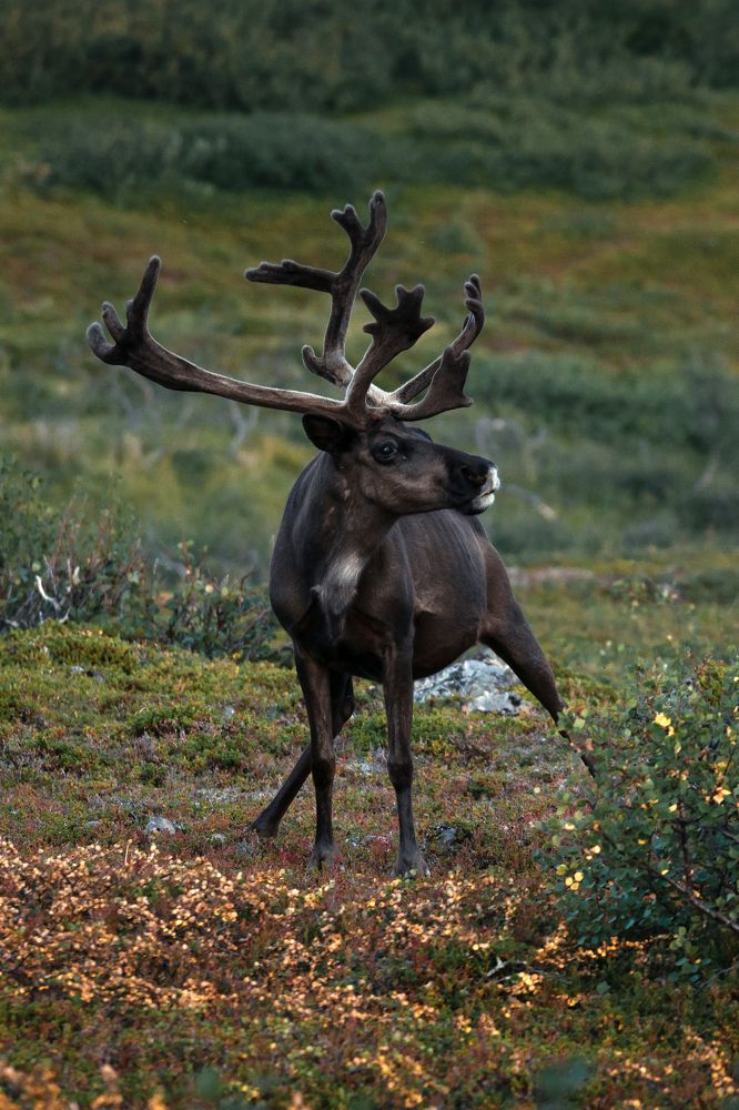 Photograph by Svetlana