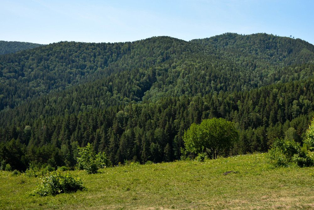 Photograph by Дарья Целуйко