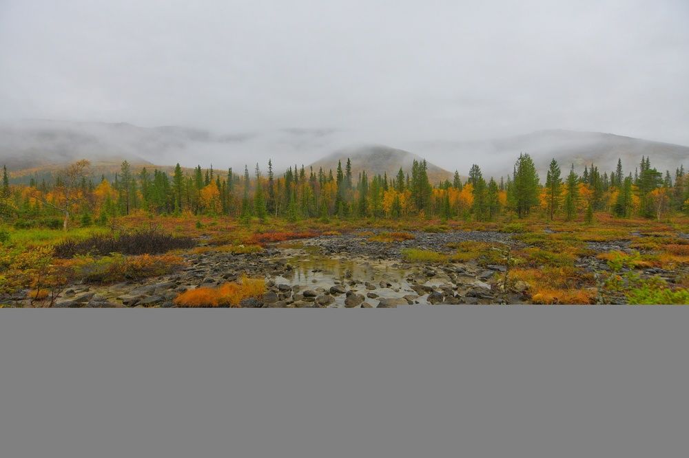 Photograph by Margareth Tikhonova