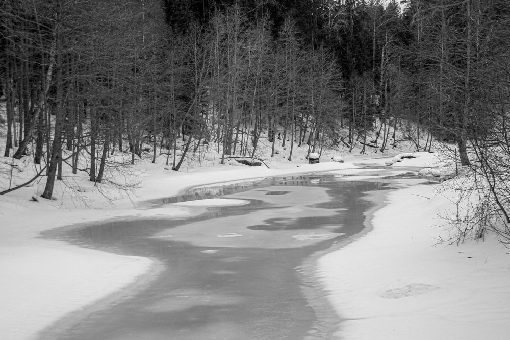 Photograph by Янина Валдина