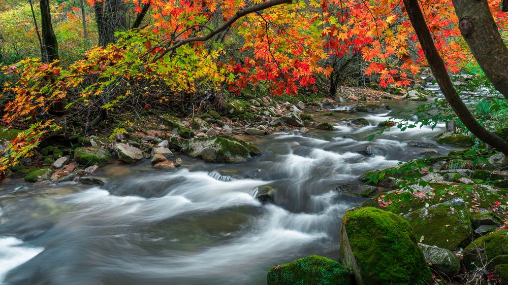 Photograph by Sinh Le