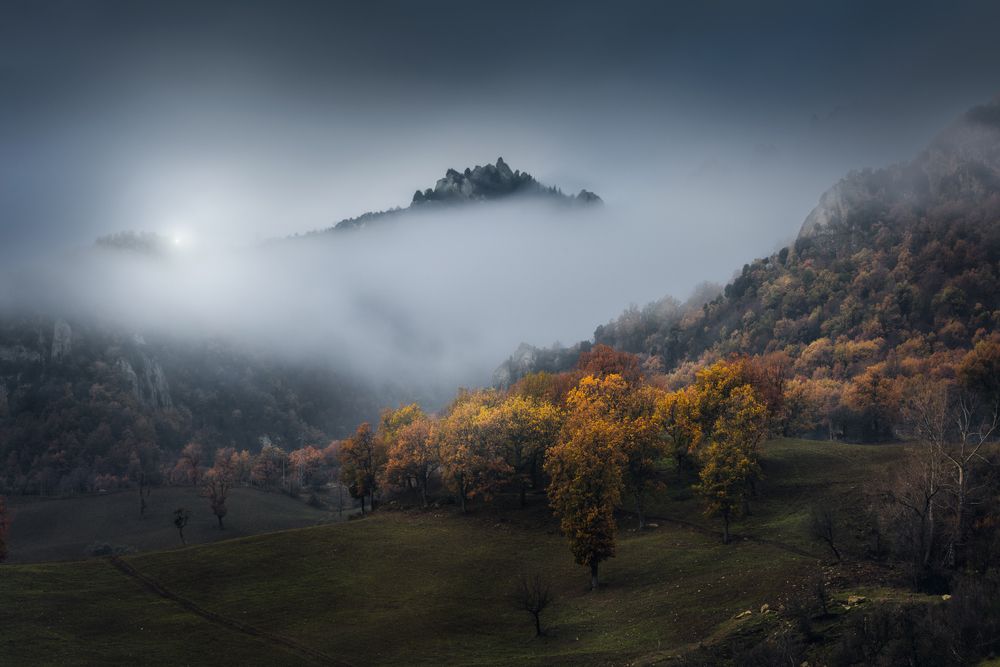 Photograph by Teodoro Corbo