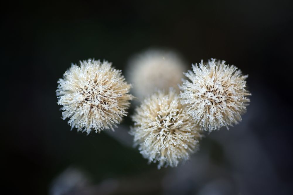 Фотография автора Юрий Кашлевский