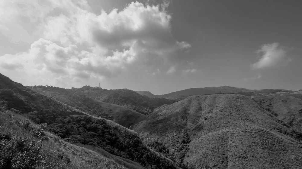 Photograph by Vineeth K