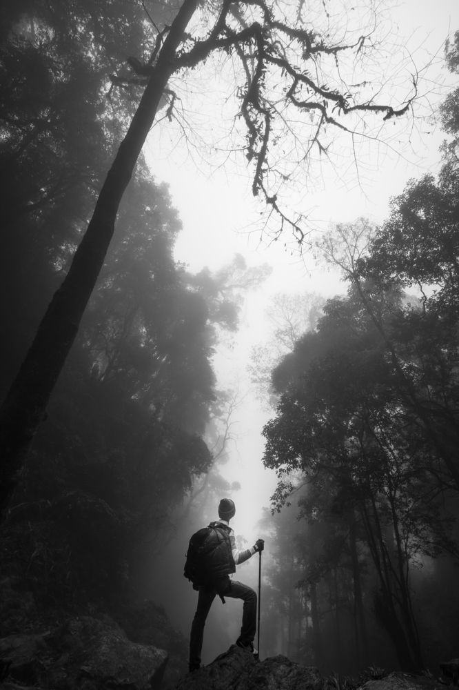 Photograph by Văn Nguyên Khương