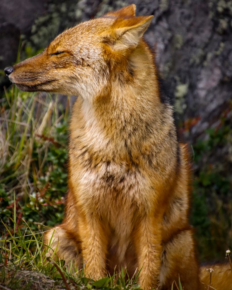 Photograph by Juan Alonso Gutiérrez