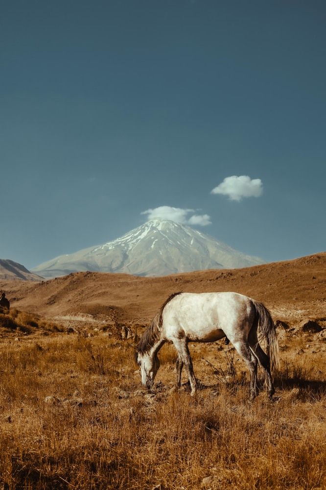 Majestic solitude at the foothills of Damavand