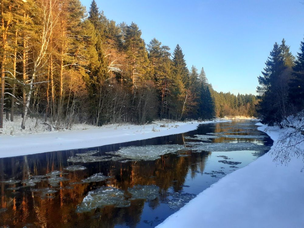 Photograph by Юрий Пучков