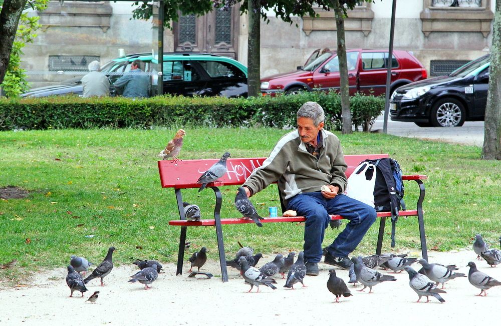 Photograph by Алексей Хазов