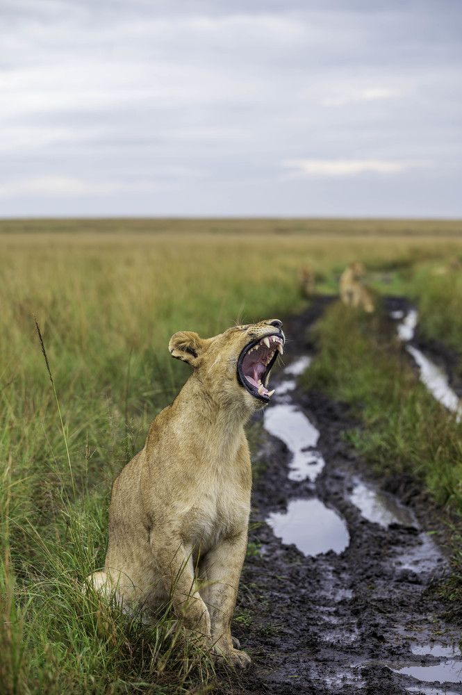 Photograph by Vishnu Panicker