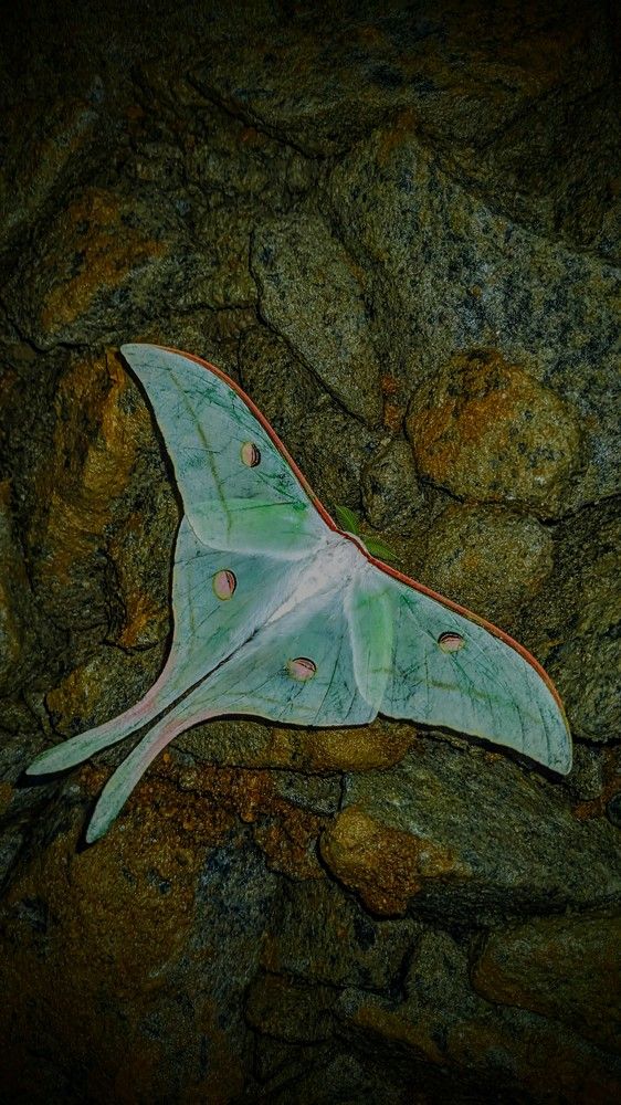 Фотография автора Ganesh Varma