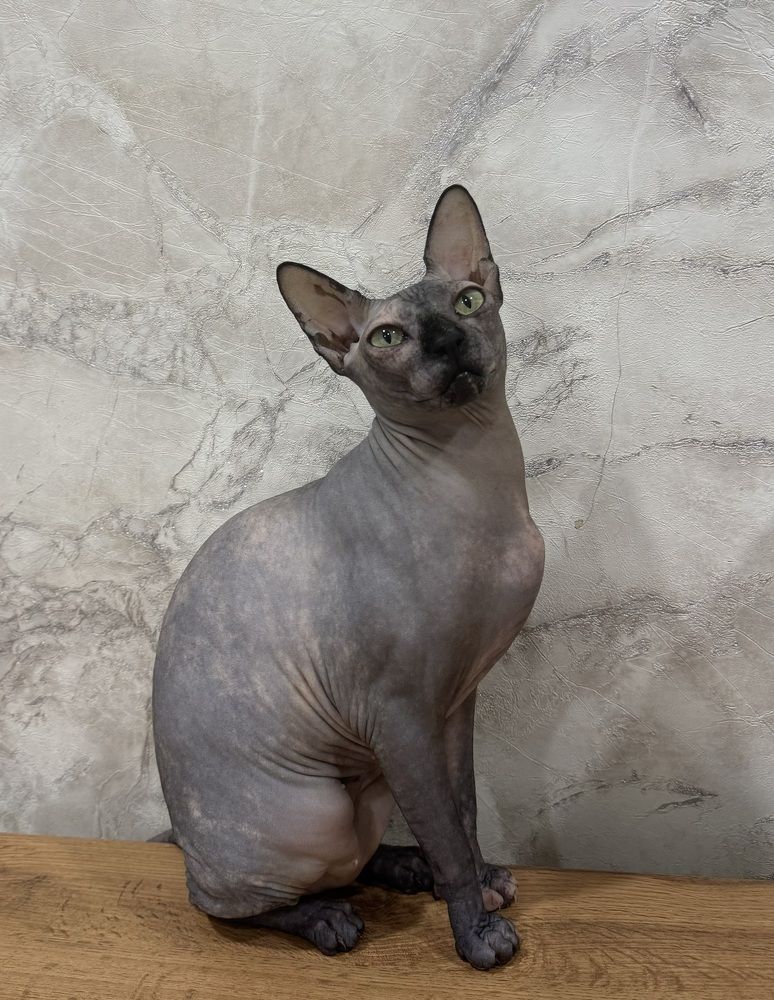 Photograph by Александр Мельниченко