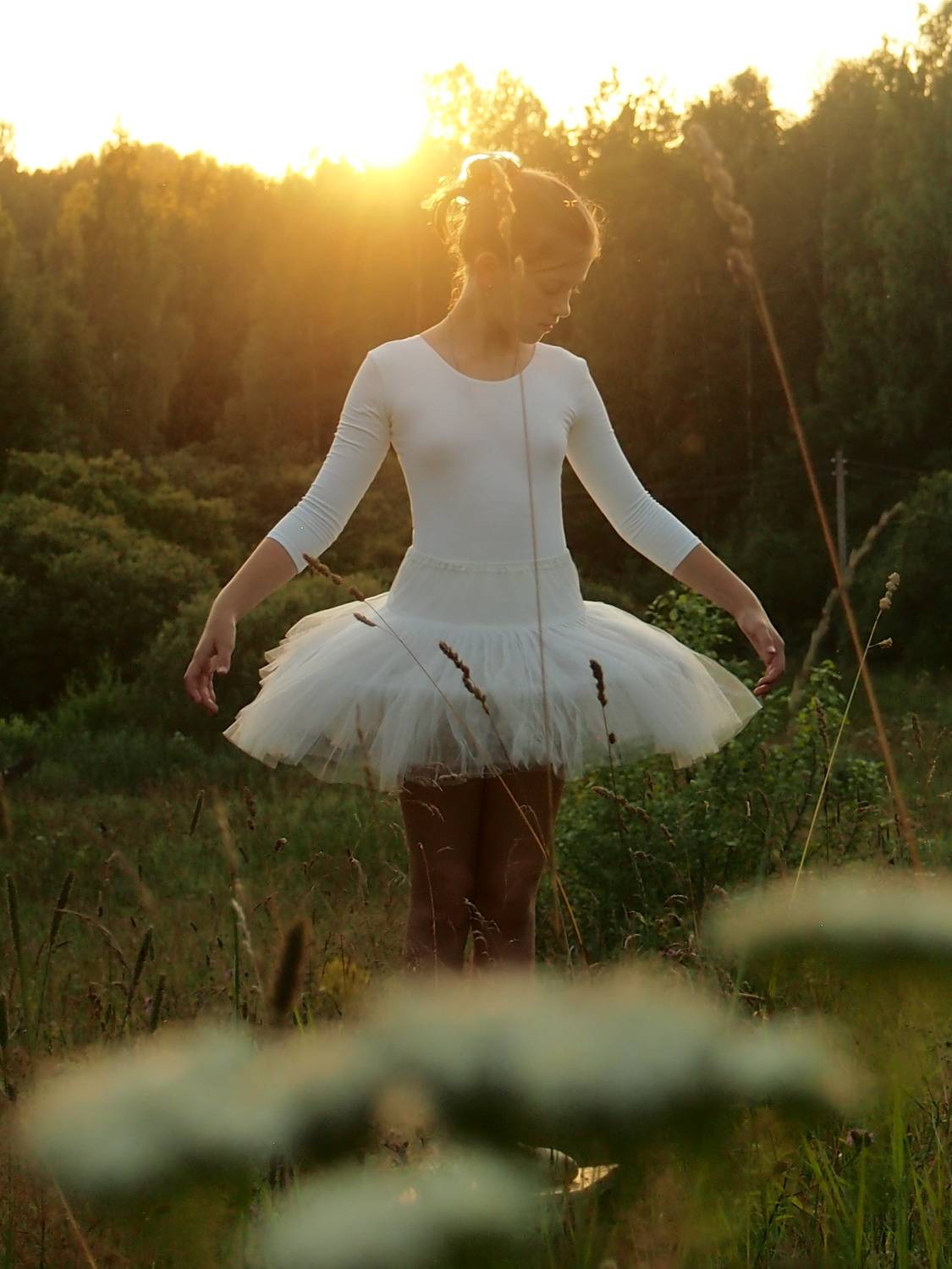 Photo #11524644