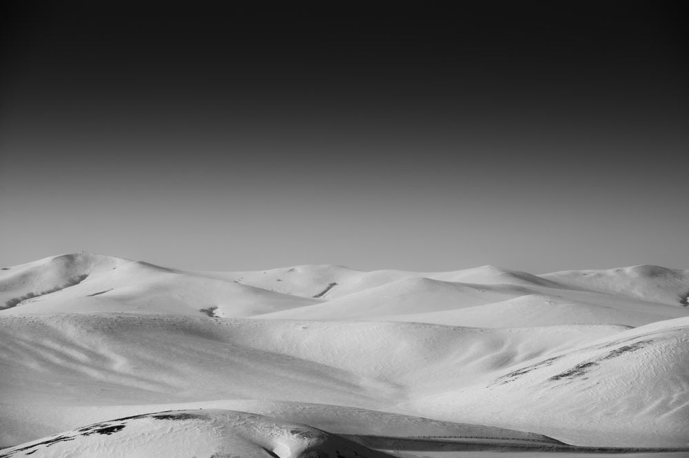 Photograph by Chen Chen