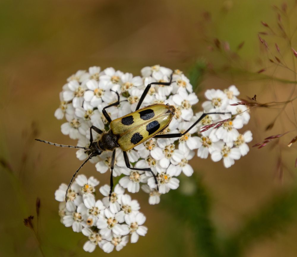 Photograph by Эдуард Седельник