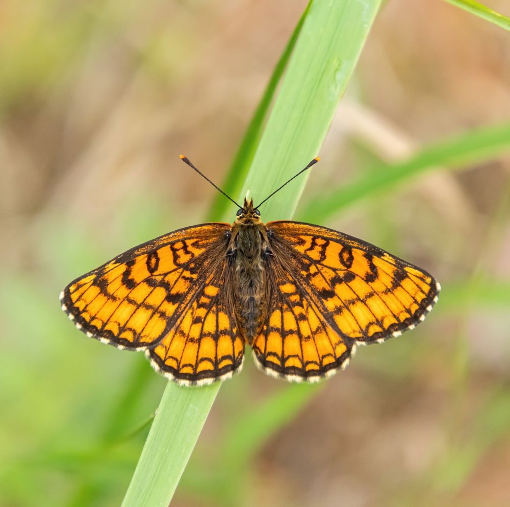 Photograph by Эдуард Седельник