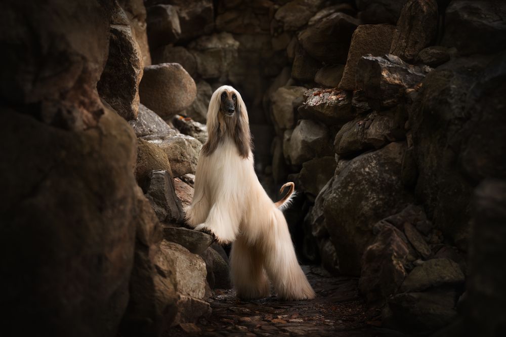 Photograph by Fleur Scholte