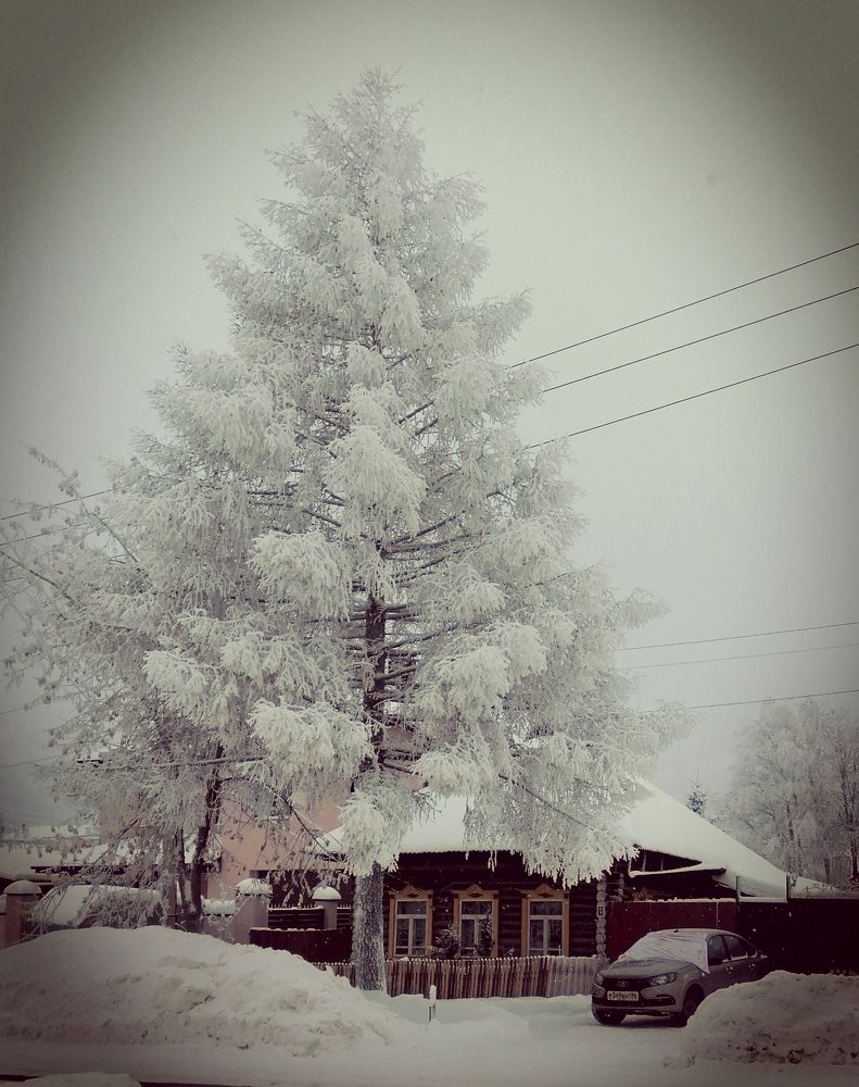 Photograph by Александр Вячеславович Могилкин