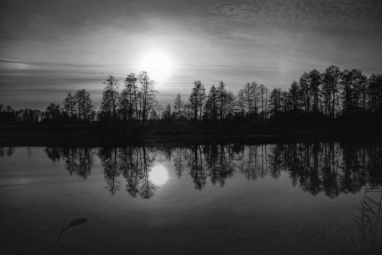 Фотография #11524893