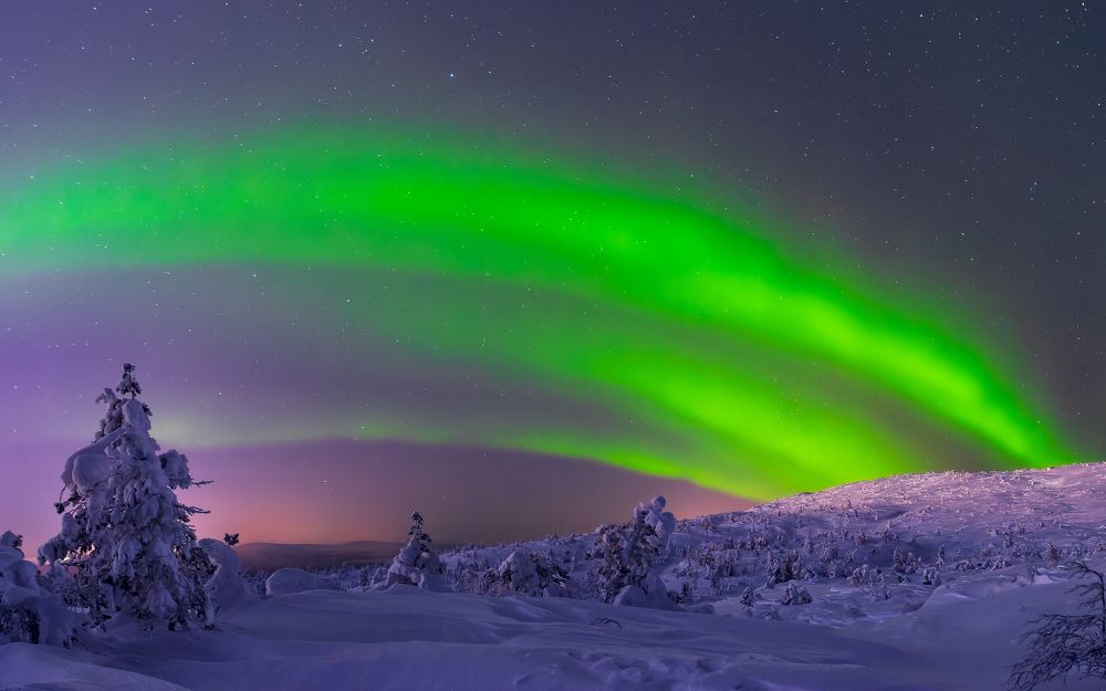 Фотография автора Mika Mgla