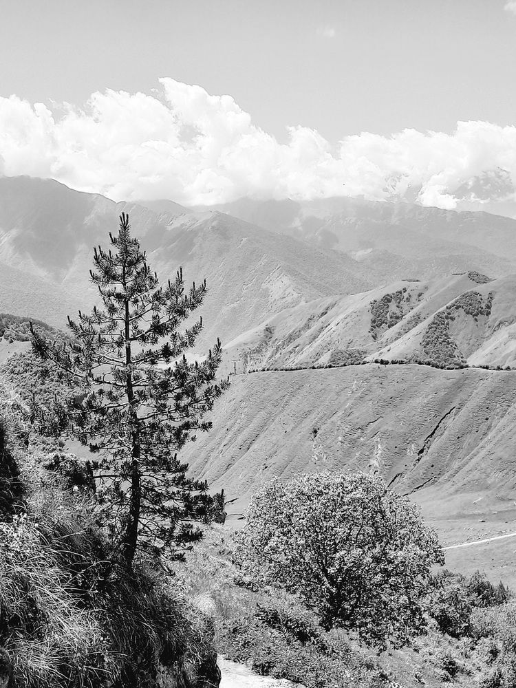 Photograph by Людмила Сотникова