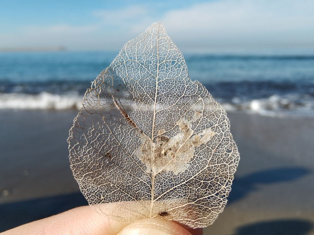 Фотография автора Вячеслав