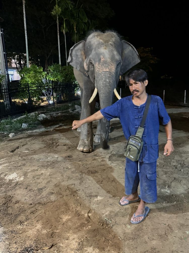 Photograph by Виктория Баева